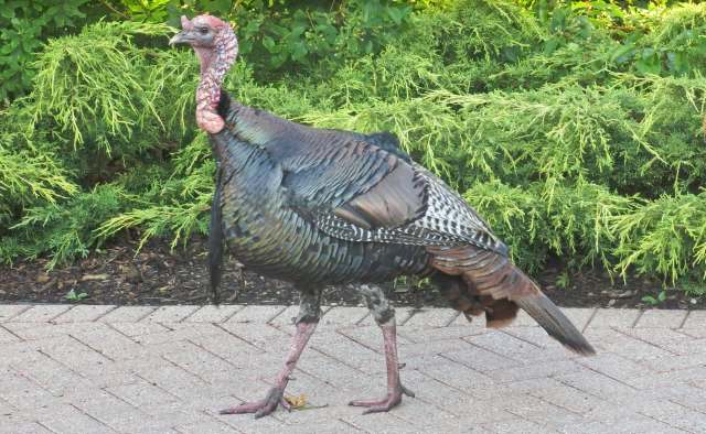 "That was something that was just completely, completely unexpected, and I was freaked out."