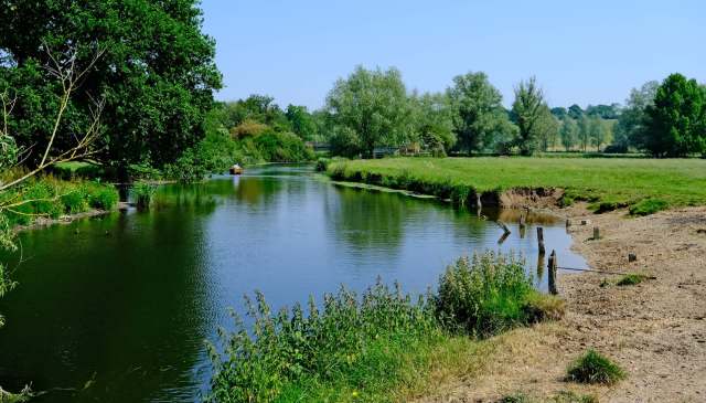 The birds are part of a balanced ecosystem.