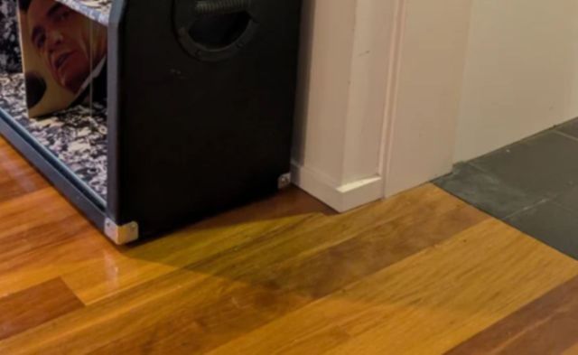 "Unusual and original."