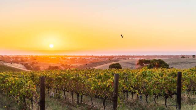 The study addressed an ongoing problem.