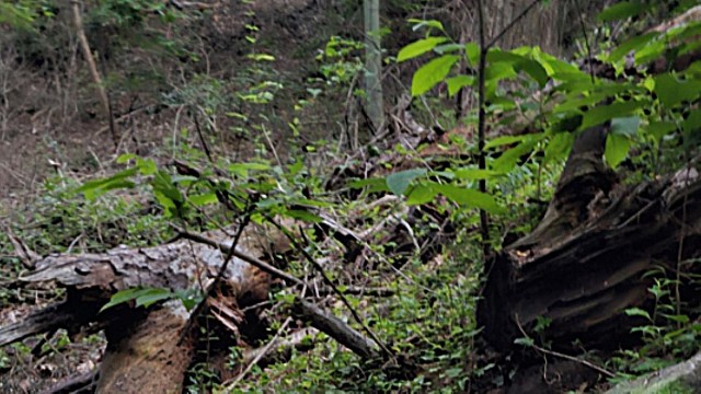 Commenters shared in the user's frustration.