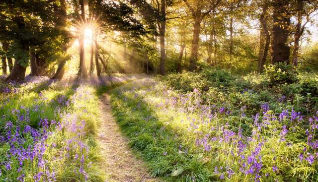 "We're not just here to showcase animals."