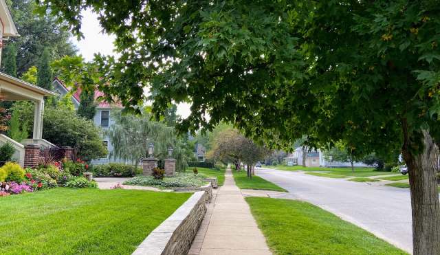 While many commenters thought the horses were lovely, others understood the negative implications.