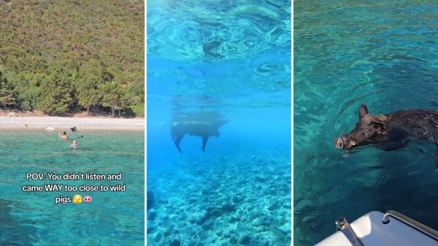 "Those can bite worse than predators."