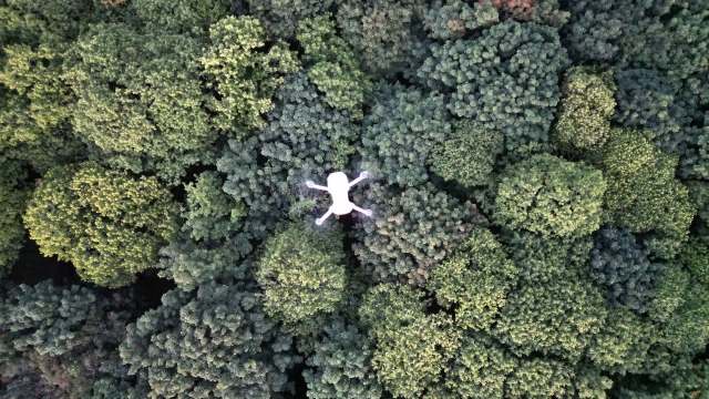 Drones are becoming powerful tools for protecting the planet in various ways.