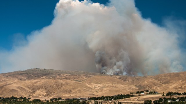 Officials investigating the fire received reports that the devastating fire was human-caused.