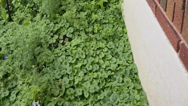 When the officers arrived, they explained they had to respond to every call.