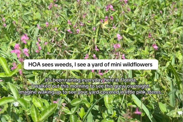 "I wish HOAs understood."