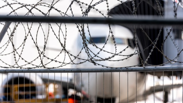 Tools such as this one can catch wildlife traffickers before they complete their deals.