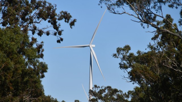 "Not saying some people weren't having a reaction though as the mind can be a powerful tool."