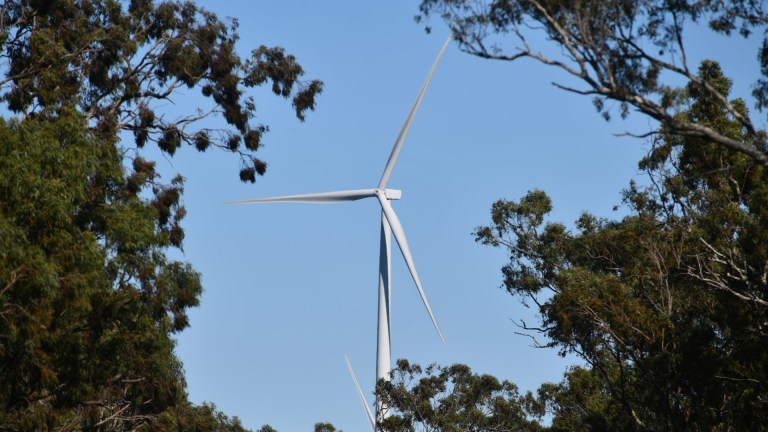 "Not saying some people weren't having a reaction though as the mind can be a powerful tool."