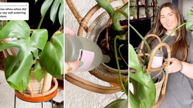 "At least those wine bottles won't be wasted."