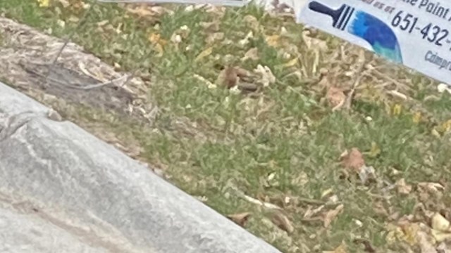 "I would remove them."