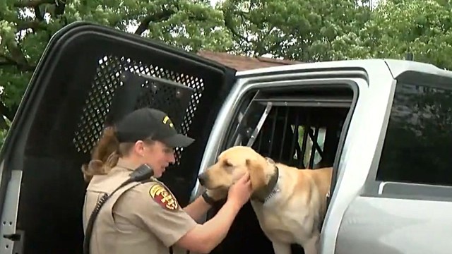 "This is what he does for fun, is that he finds stuff."