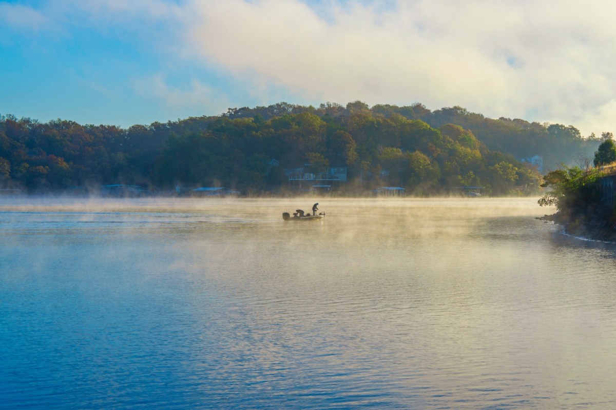 Occoquan's Snakehead Roundup is an example of a community coming together to address invasive species in a hands-on way.
