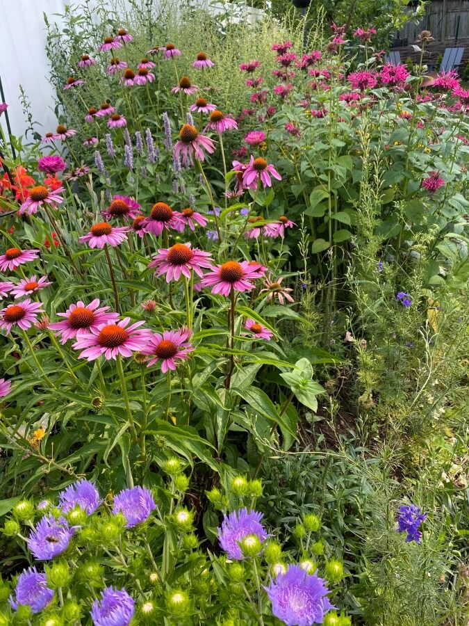 "I hope to get my garden to that level one day."