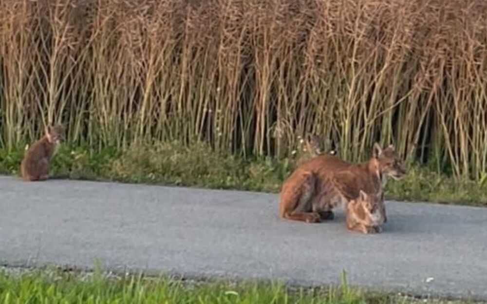 "The memory will remain with us for a long time."