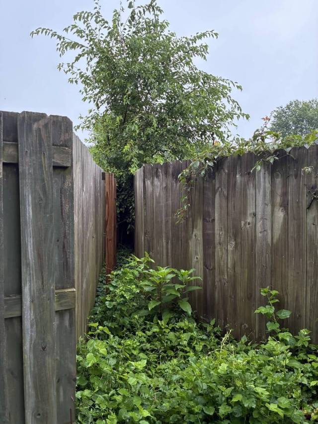 Commenters offered advice.