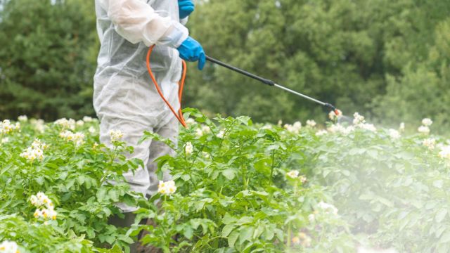 "The quickest way to prevent this ... is to act now."