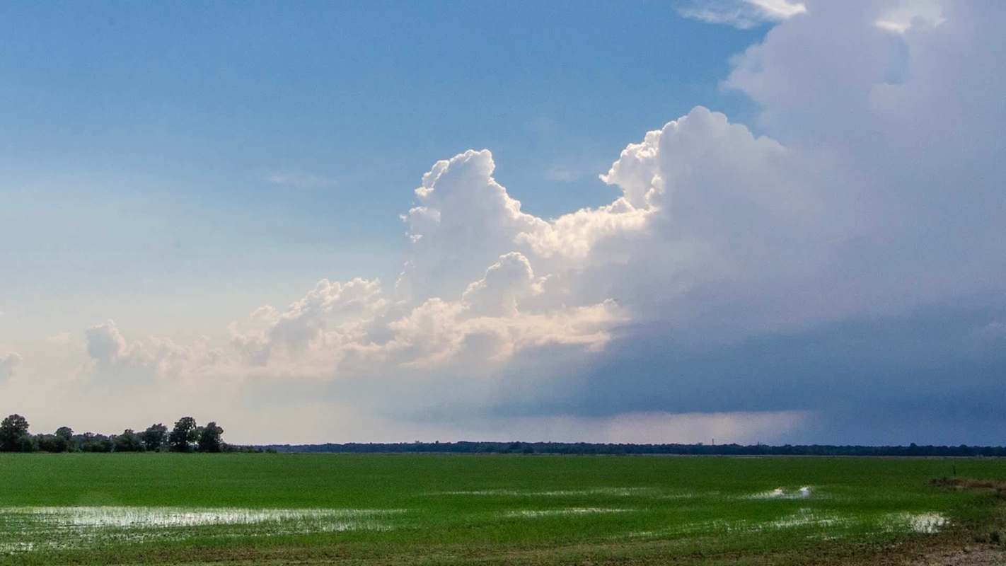 It caused millions of dollars in damages.