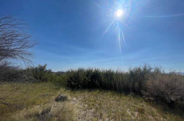As daunting as big money interests can seem, community action really can make a huge difference in protecting natural heritage.