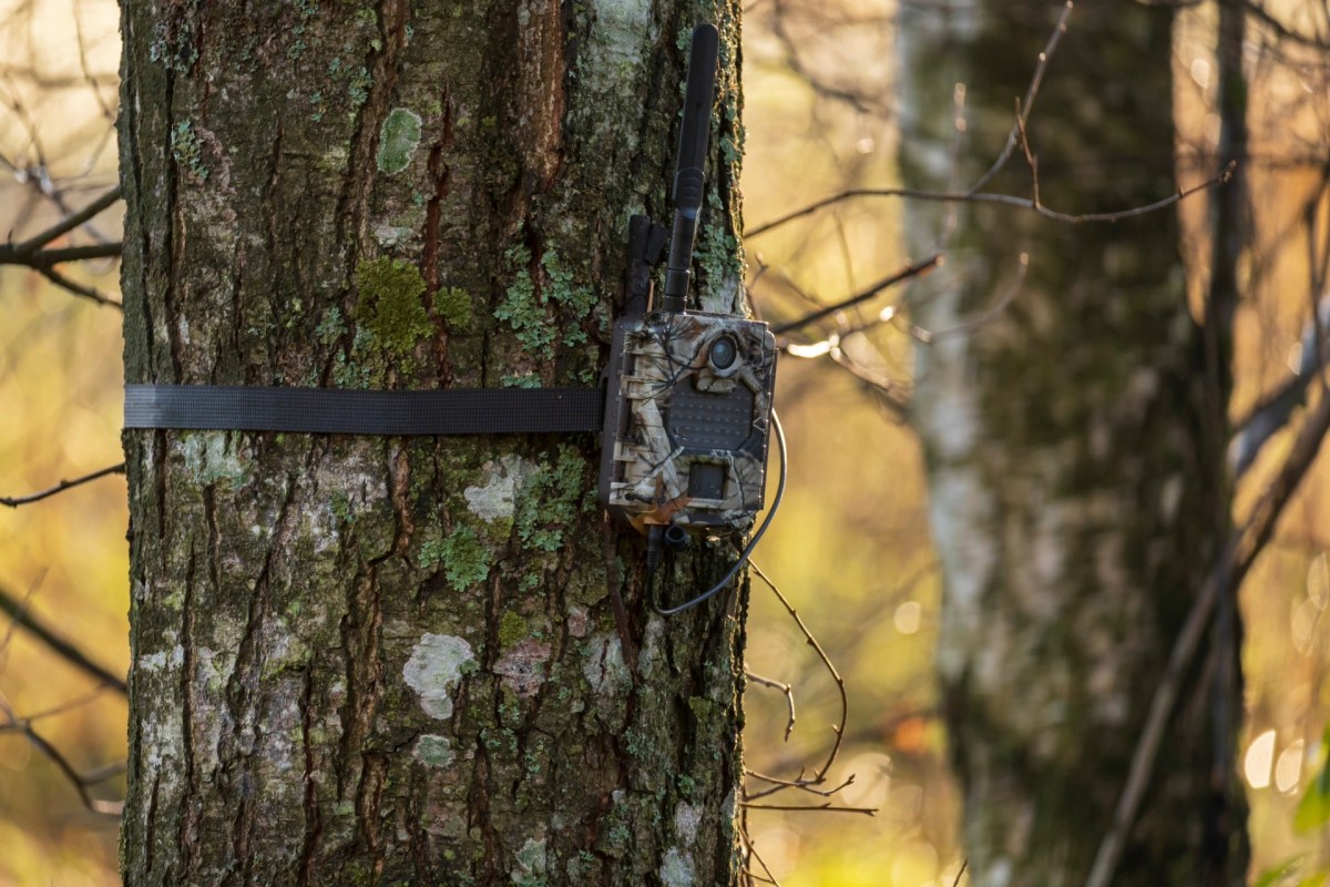 "The sighting ... is highly significant."