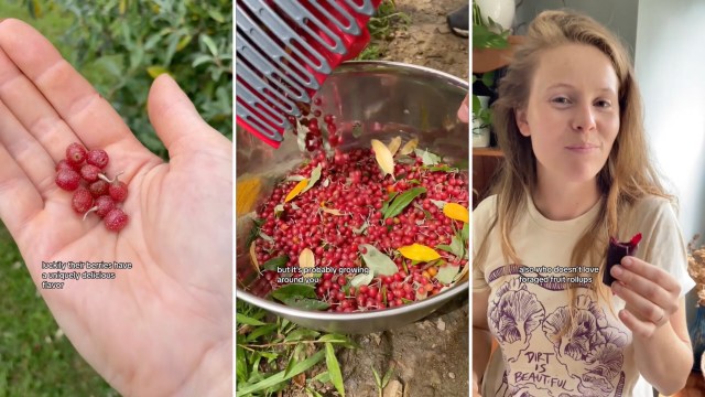 "They grew all around the neighborhood near my home when I was a kid."