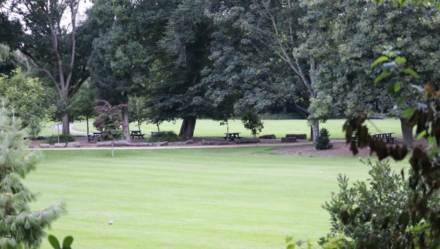 The cause of the spill remains unknown.