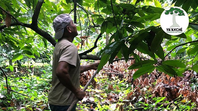 "These farmers are very excited to have these species show up in their farms."