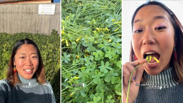 "My sister and I used to eat these on our walks home from school."