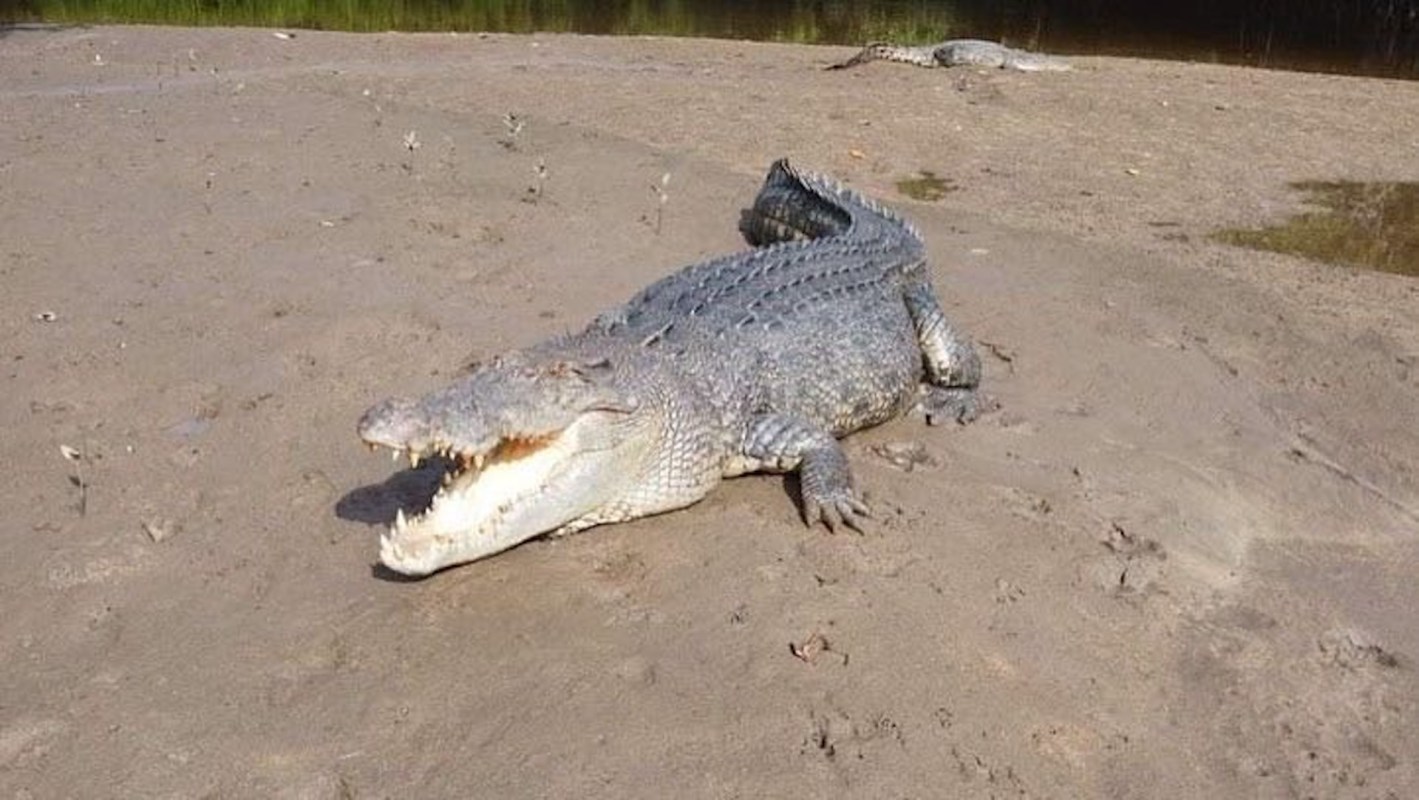 Investigators are still searching for a suspect.