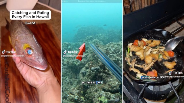 "When you see it on the reef, it's always important to take it out."