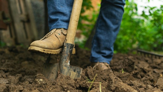 "Me and my little shovel did it all."