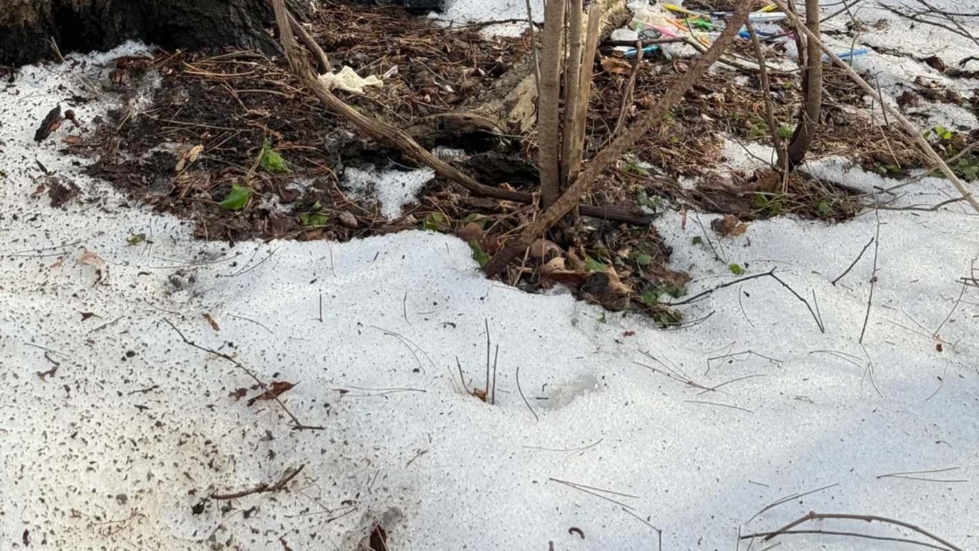 "It's truly disturbing to me."