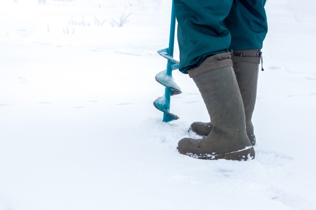 "We really need to be able to go back in time to understand these different processes."