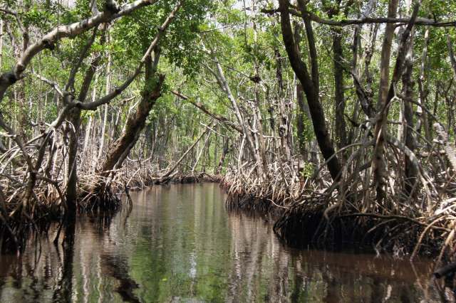 "It's a choice between one animal I love and the thousand other animals it would eat."