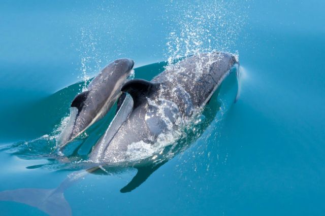 "Clear signs of stress."