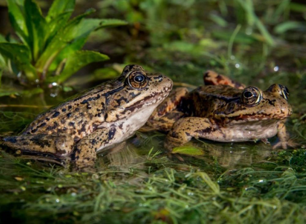 "What they've done with AI on this project is incredible."