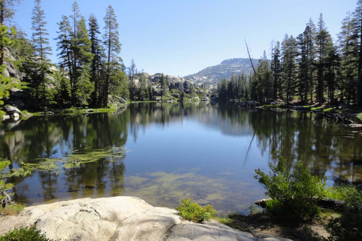 "What they've done with AI on this project is incredible."