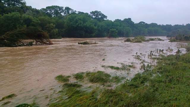 "Protocols that should have been in place were ignored."