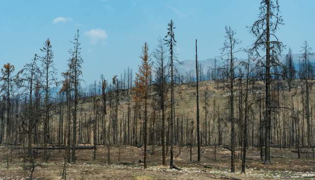 "We need to be prepared."