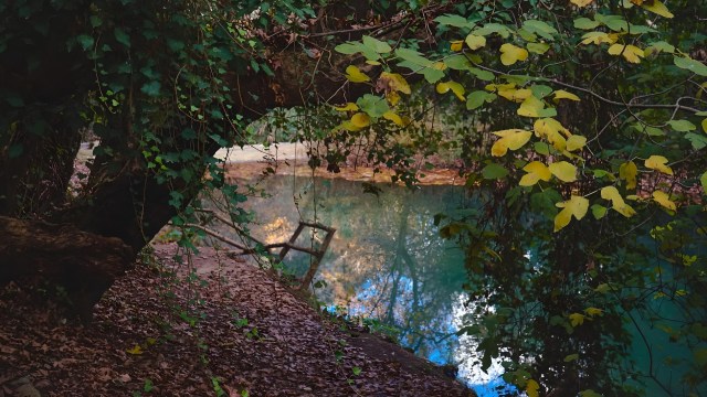 "The presence ... is worrisome."