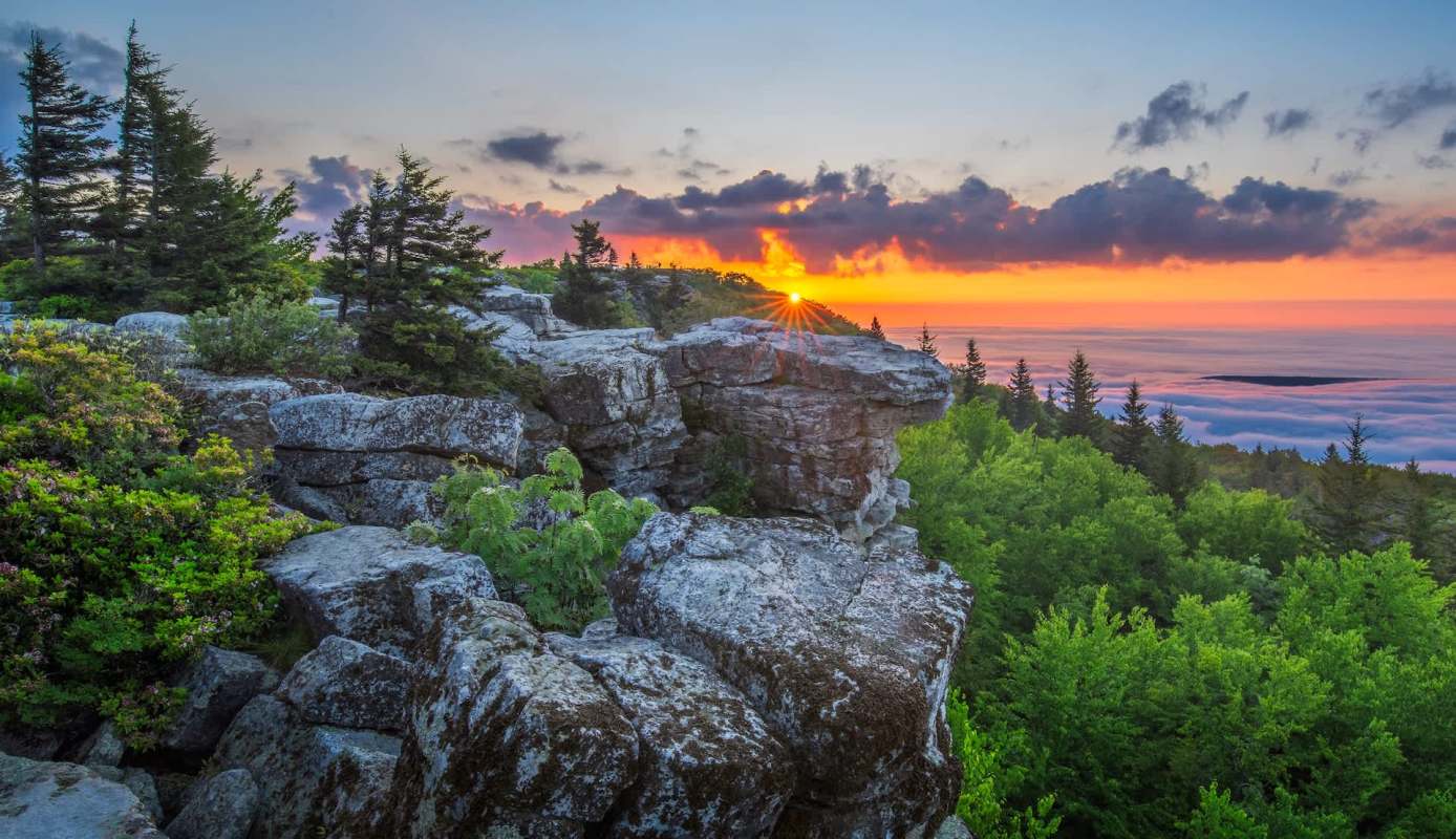 Historically, the state of has proven notorious for its environmentally unfriendly ventures.