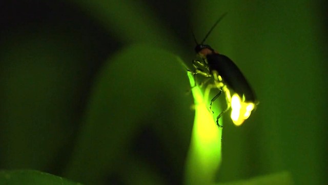 "This moment proves we can take action to help safeguard their future."