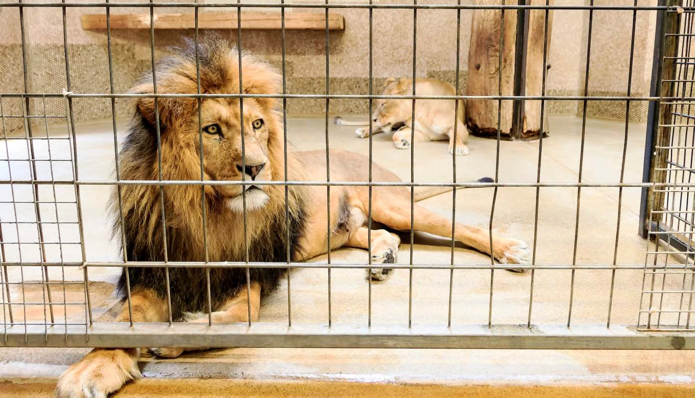 "It’s pretty hard to explain."