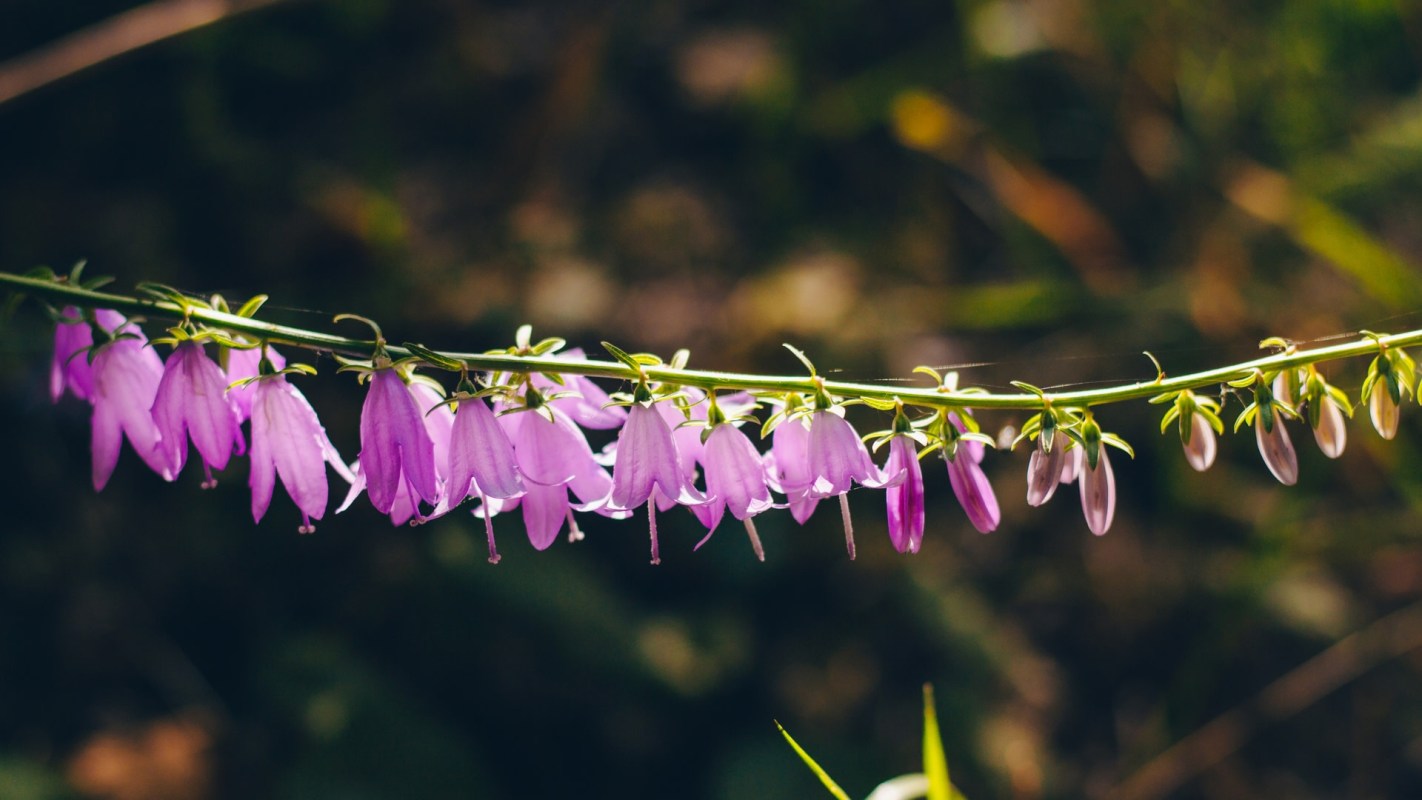 "It's enough to make you want to give up."