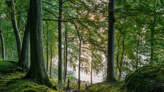 The project is still in its infancy, but there’s hope that it can make a massive difference in the long run.