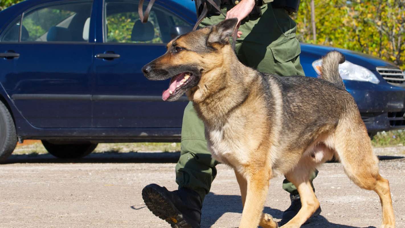 "Thrilled to be doing what he's doing."