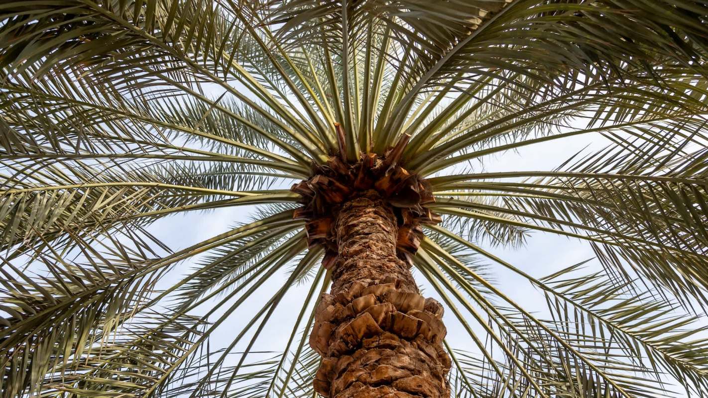 It can basically be created locally around the world.