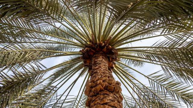 It can basically be created locally around the world.